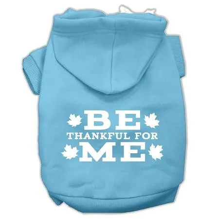 Be Thankful for Me Screen Print Pet Hoodies Baby Blue Size XXL (18)