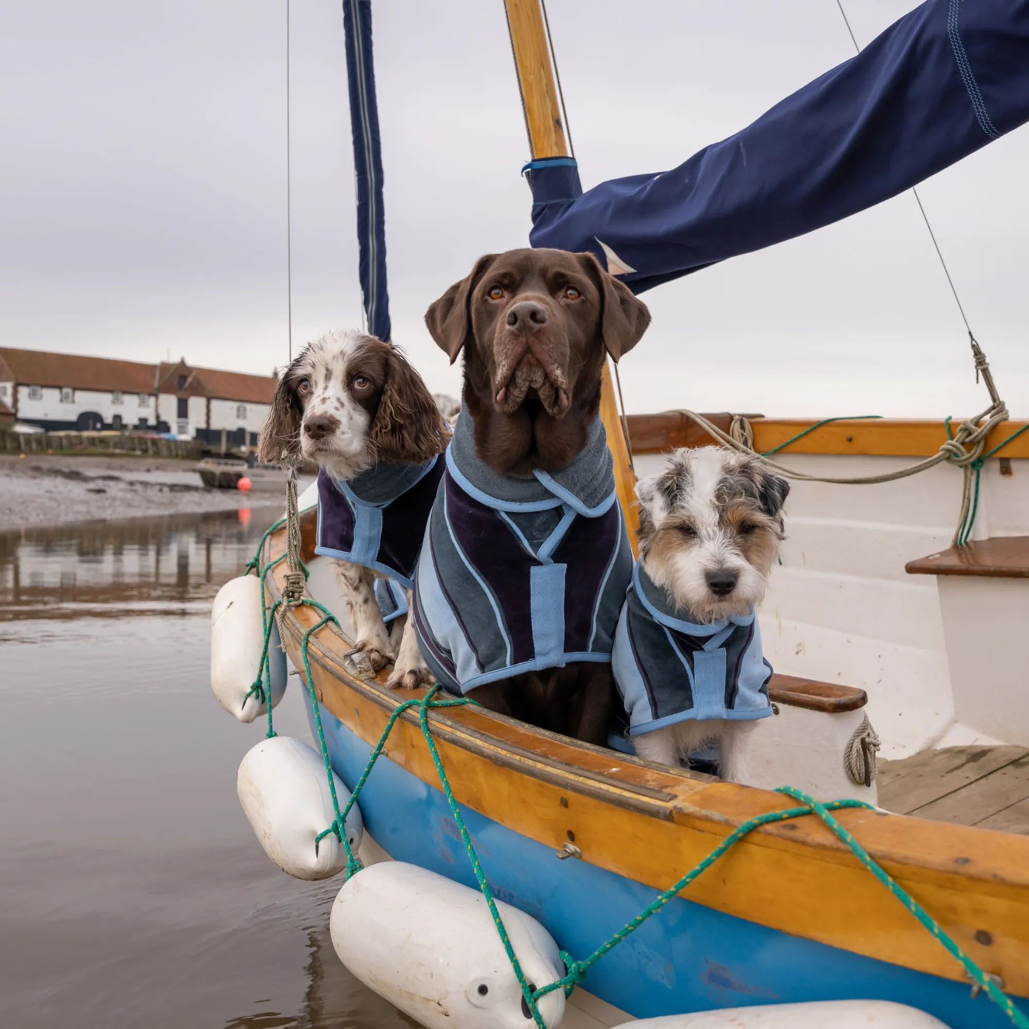 Dog Drying Coat - Design Collection